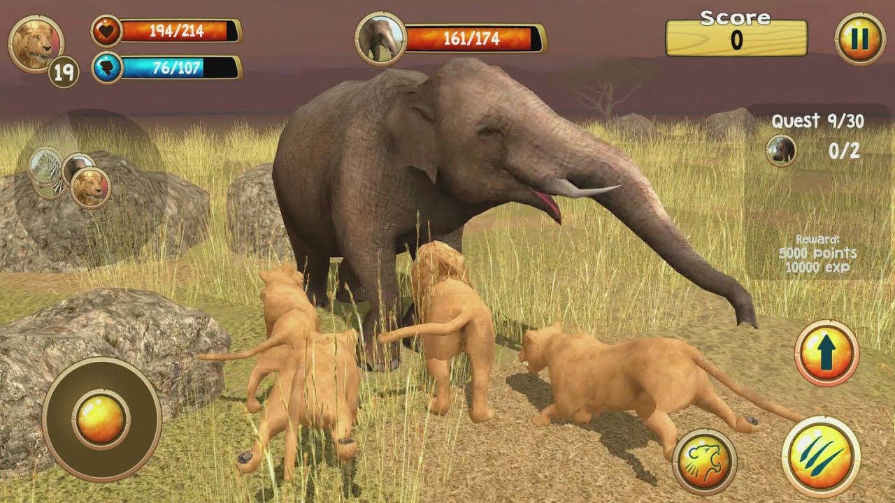 Wild Lion Simulator 3D Android Gameplay #3
