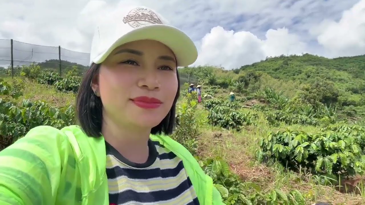 Một siêu phẩm giá siêu rẻ 3ha cà phê giá 800tr nguyên lô đất tại gia lai 