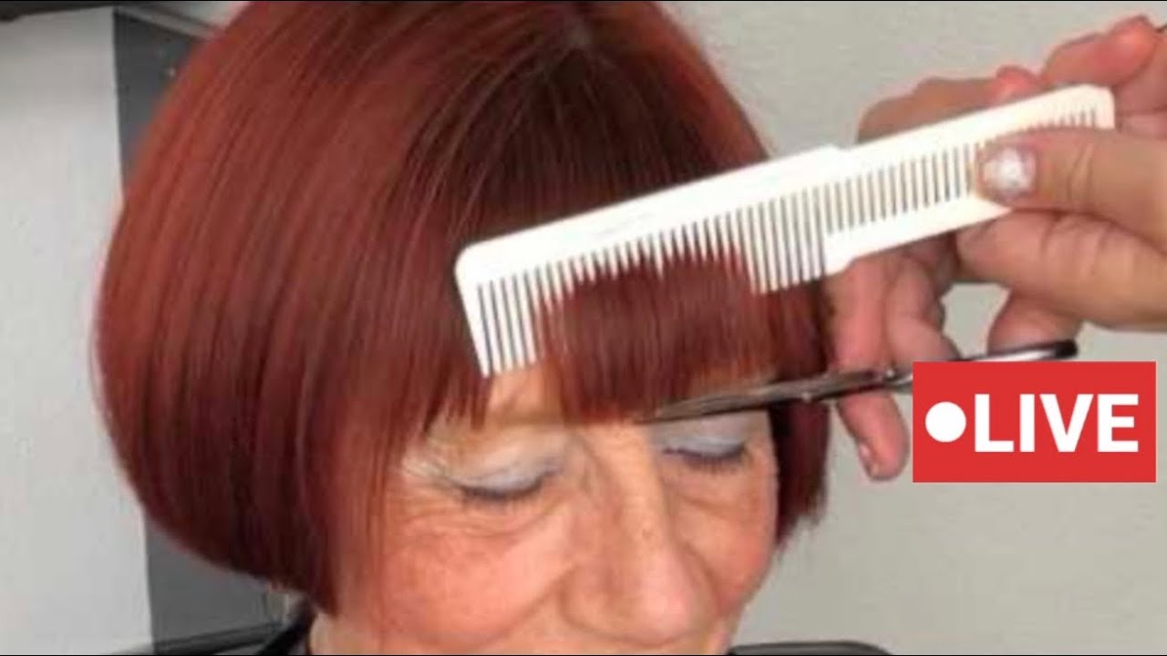 STUNNING Haircuts by Vivyan Hair Design! 💜✨🤩 #haircut #hairstyle #shorthair #longhair #hairtutorial