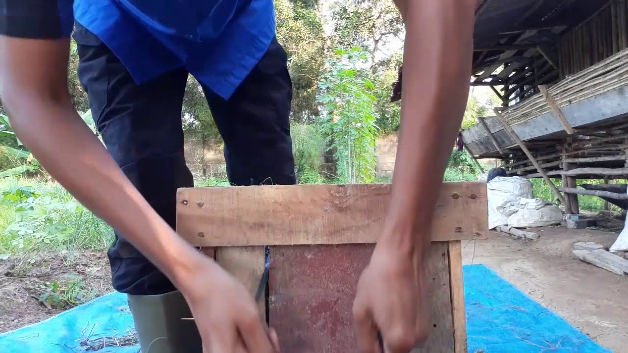 Proses pengepakan rumput kering/hay cara manual