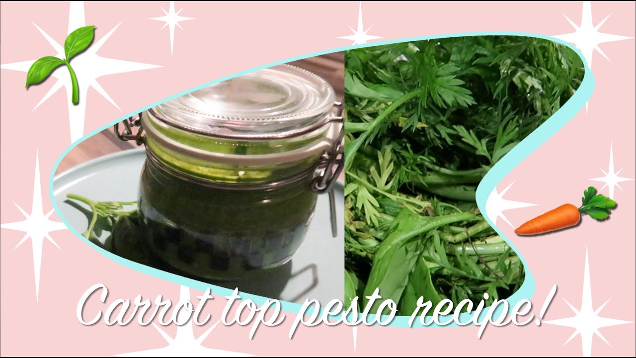 Carrot Top Pesto recipe | Lucy Elliott