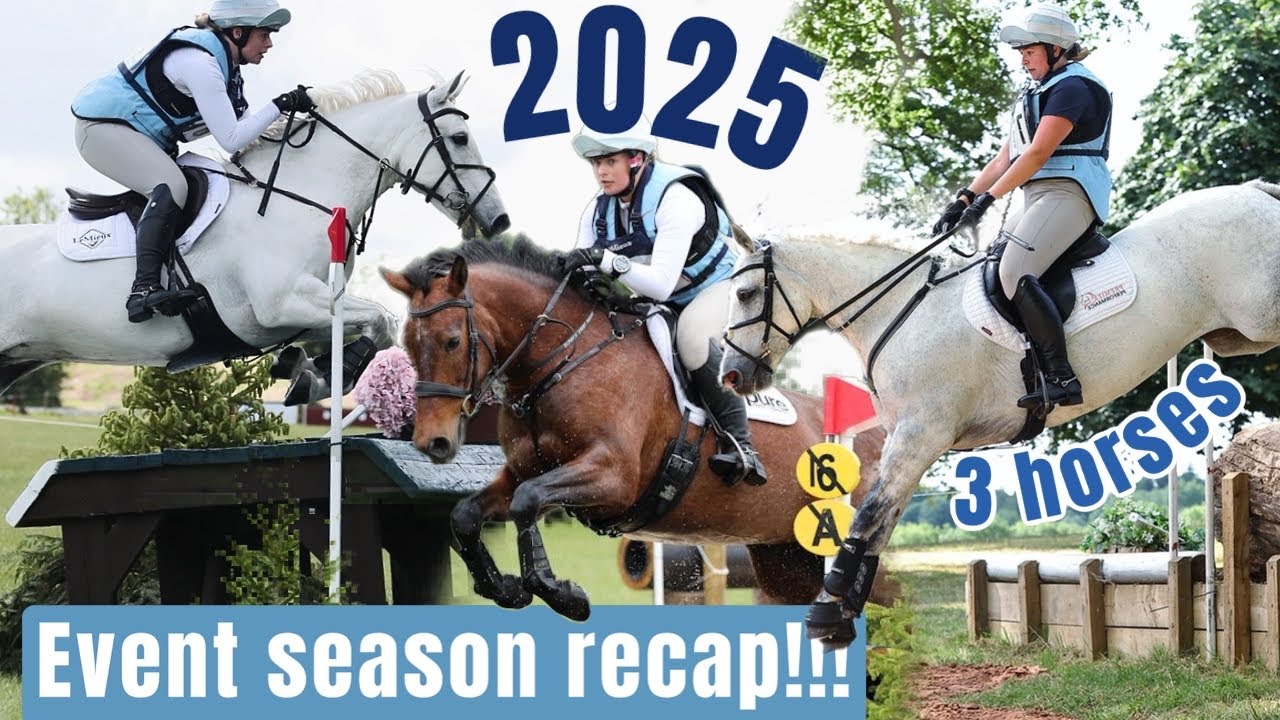 3 лошади, 1 год &mdash; мой обзор соревнований по троеборью за 2025 год 🐴✨