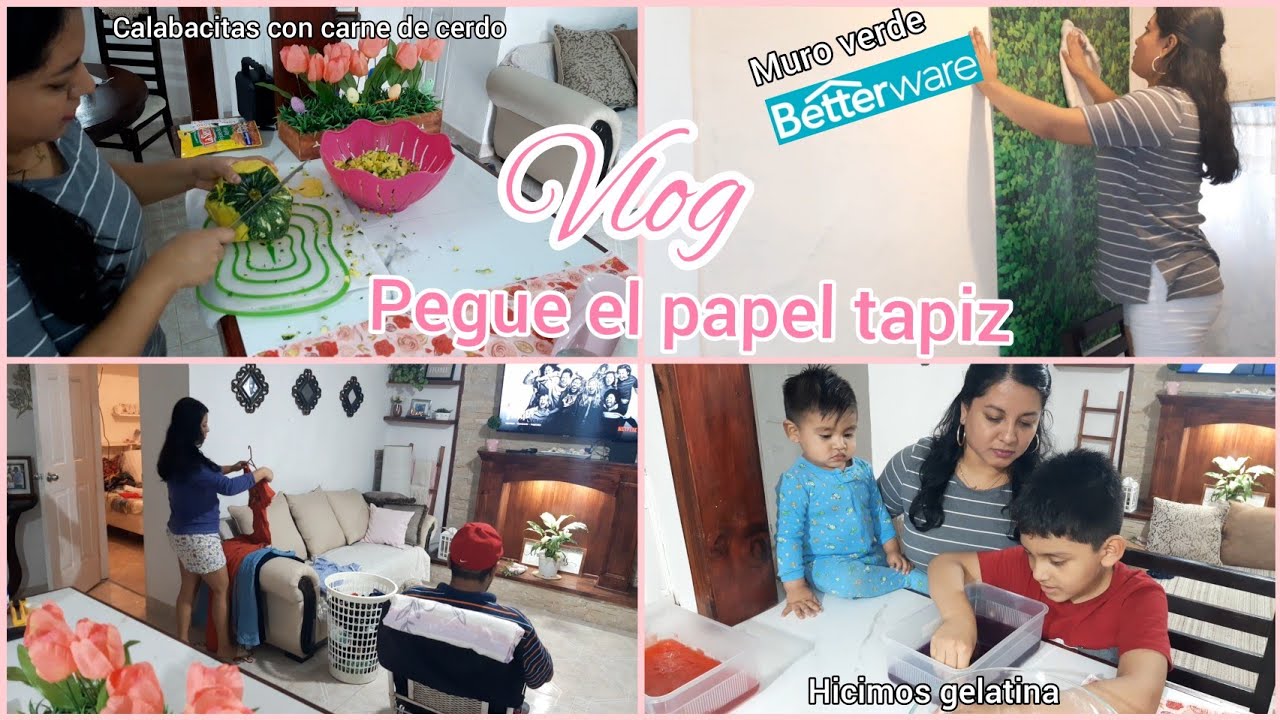 Vlog🏡 puse el papel tapiz de betterware🍃/Escodidas con🐶/Comimos calabacitas y tamales🥘🤤/Mi día 🌞