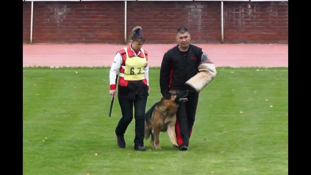 Чемпионат России 2014 г. по ОКД и ЗКС.