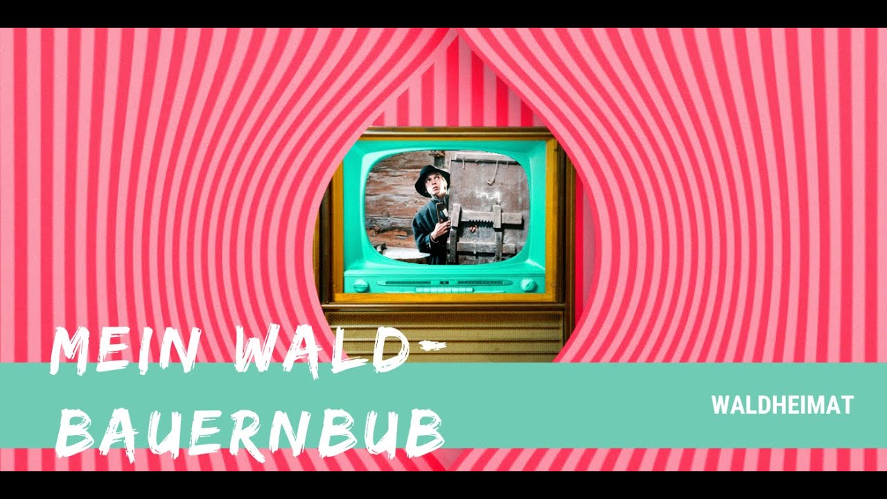 MEIN WALDBAUERNBUB AUS 