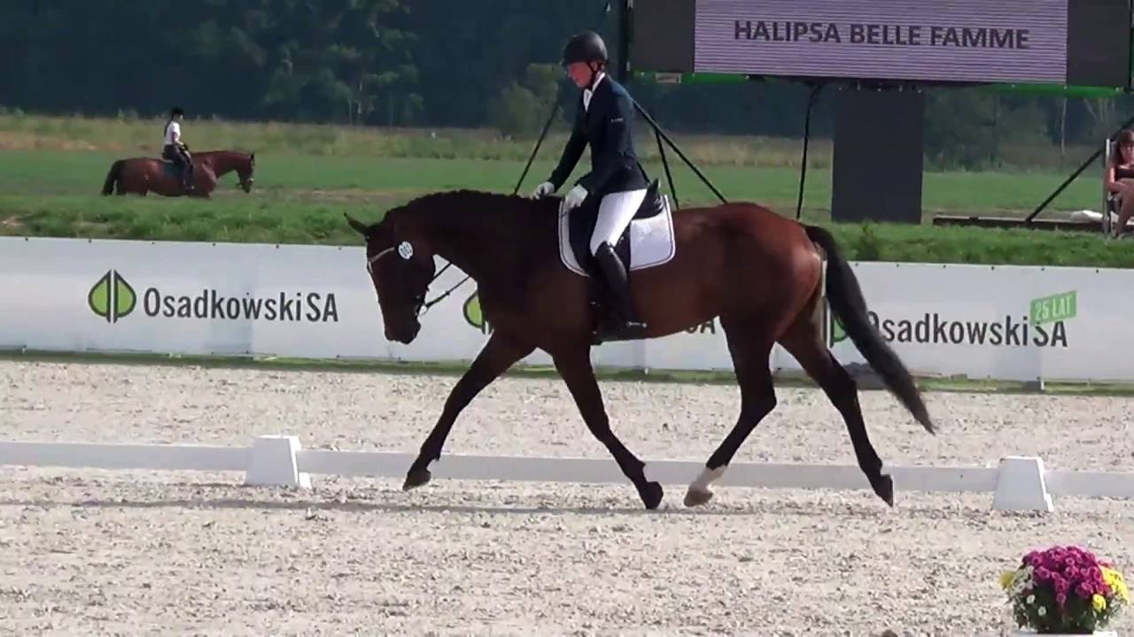 Halipsa Belle Famme pod Daria Kobiernik