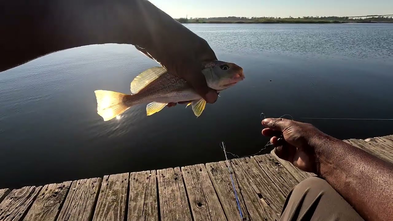 Tested Gulp Bait for the 1st Time The Results Changed My Fishing I.Q.!!!