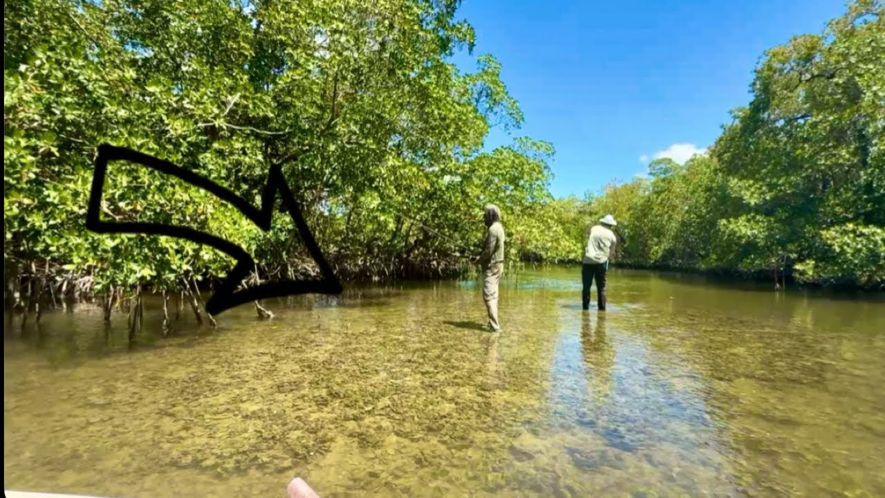 Backcountry Fishing For Snook, Redfish, and Trout!! (Ten Thousand Islands Fishing)