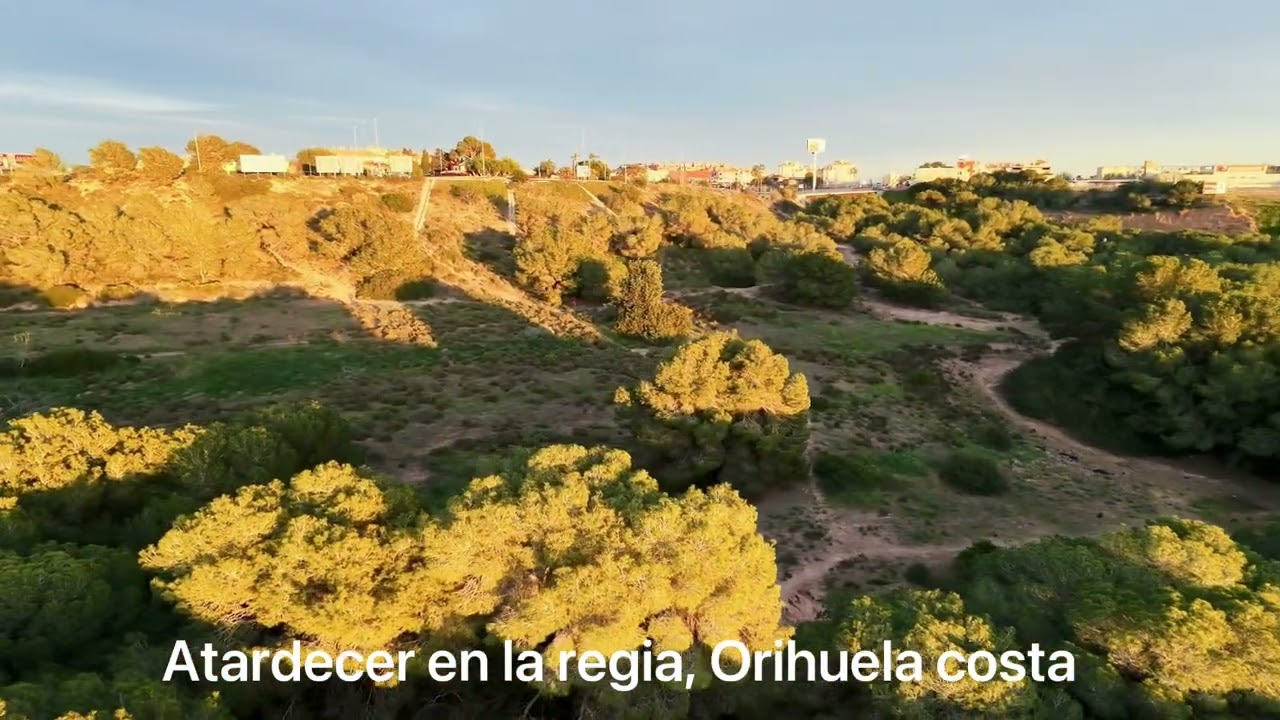 3 de marzo de 2026