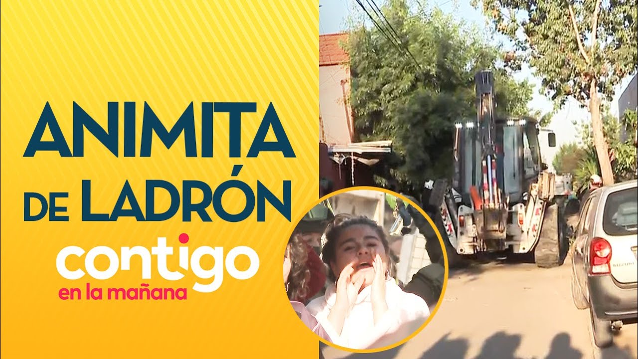 EL SANTO DE LOS ROBOS DE AUTOS: Así fue demolición de animita de ladrón - Contigo en la Mañana