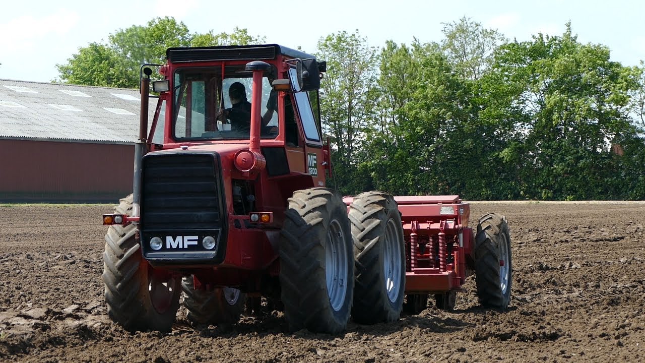 Massey Ferguson 1200, 1505, 4840 & 4900 Working In The Field | Ferguson Days 2016 & 2017