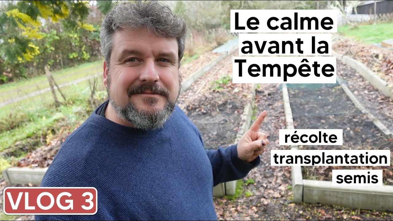 [VLOG février 3] Le calme avant la Tempête ⛈️