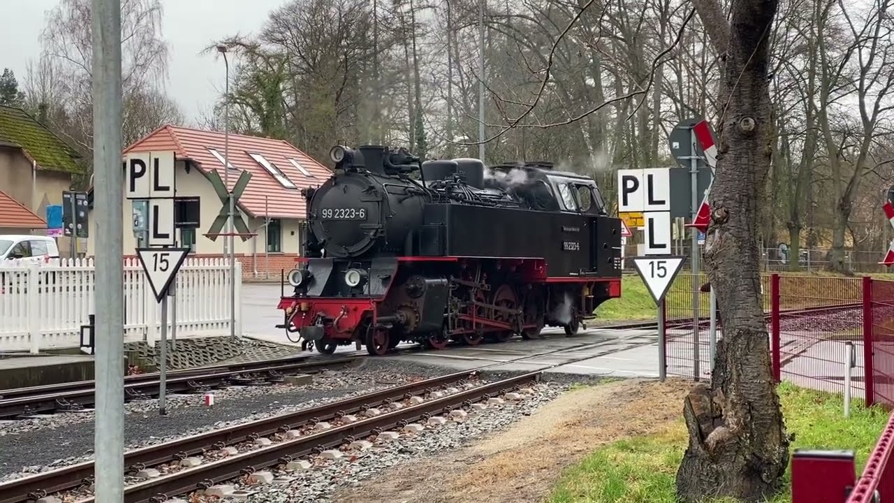 Molli im Februar 2022