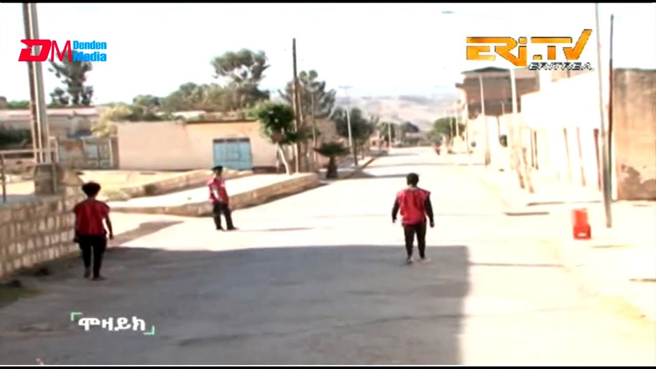 ERi-TV: Volunteer youth of Adi Keyih keep watch of their town during stay home order