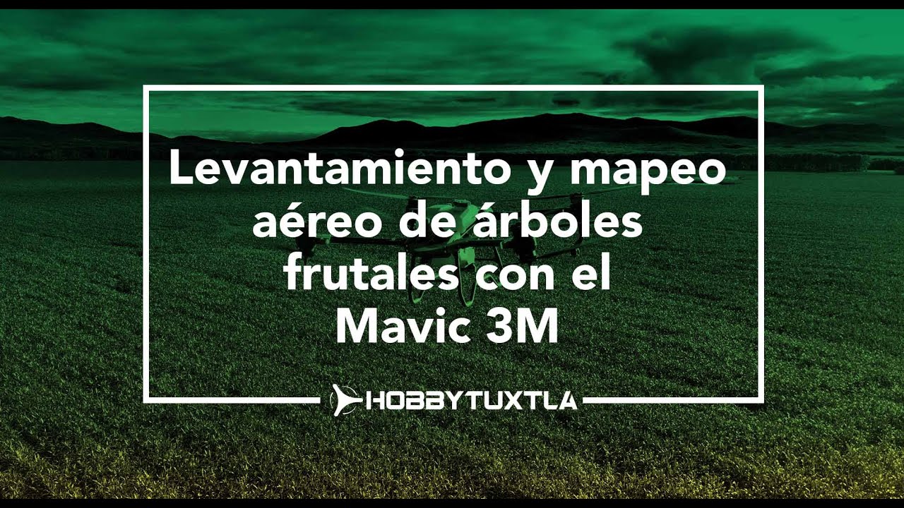 Levantamiento y mapeo aéreo de árboles frutales con el Mavic 3M