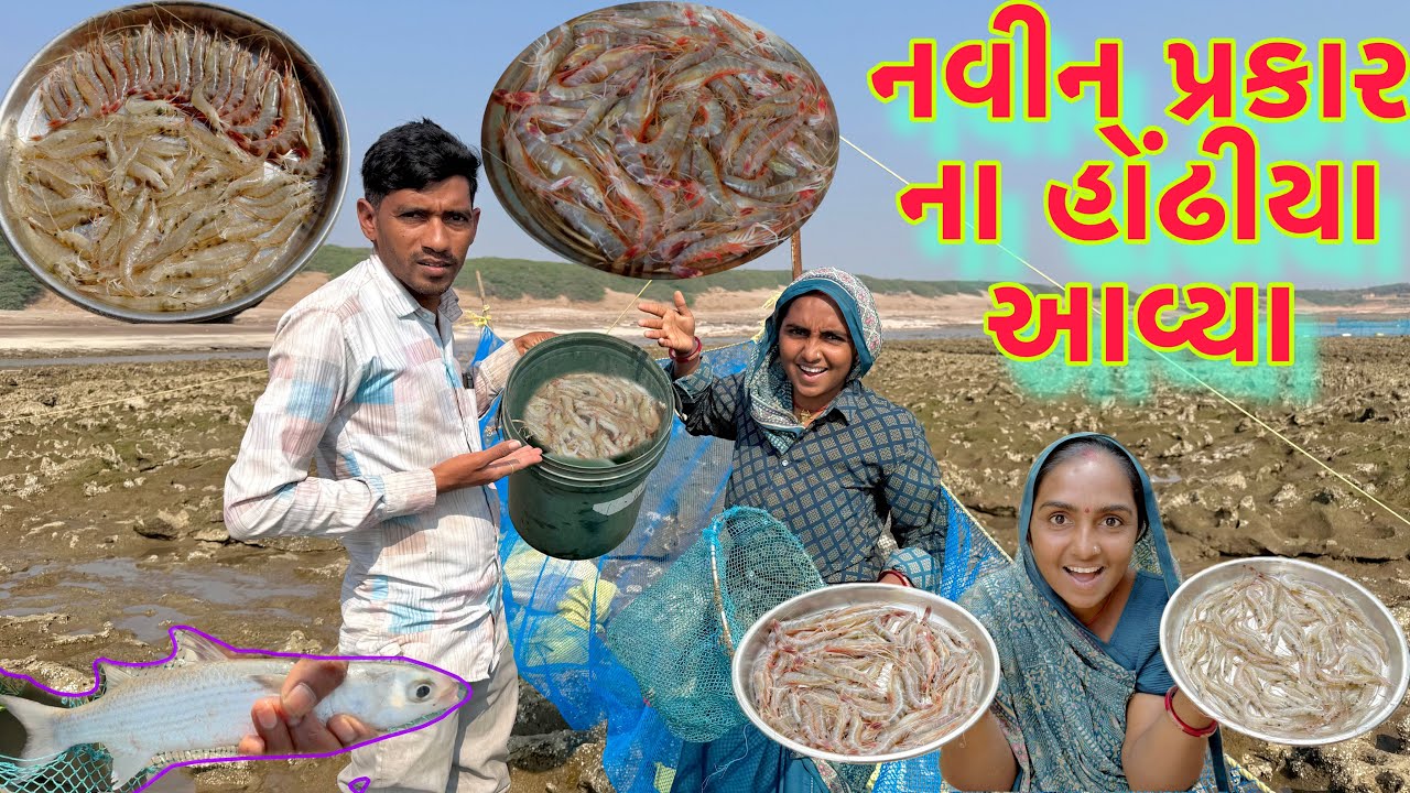 લાલ અને દેશી જીંગા નો શુ ફરક હોય 🦐🍤 jinga fishing 🎣 dariyai khedut@Dhanjinimoj 