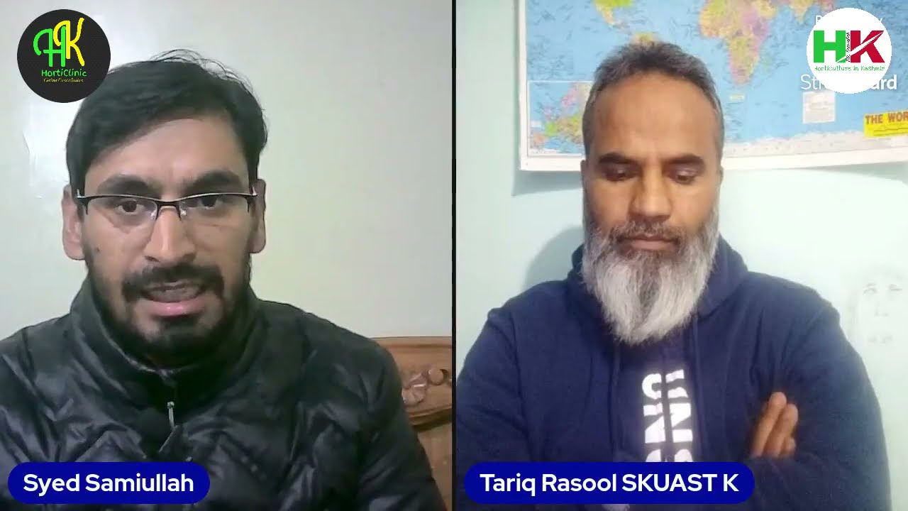 Post Harvest Urea Spray on apple Trees |  Concentration | Timing | Uses | HortiKashmir