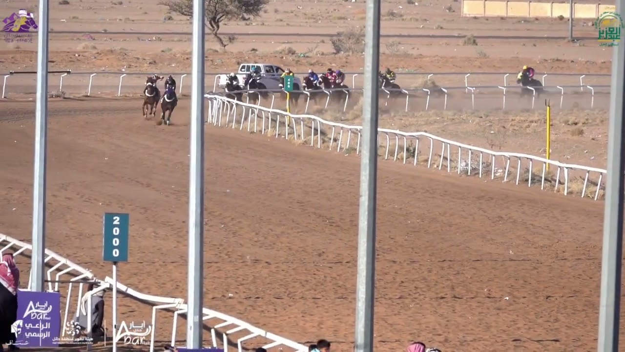 الجواد يتميز