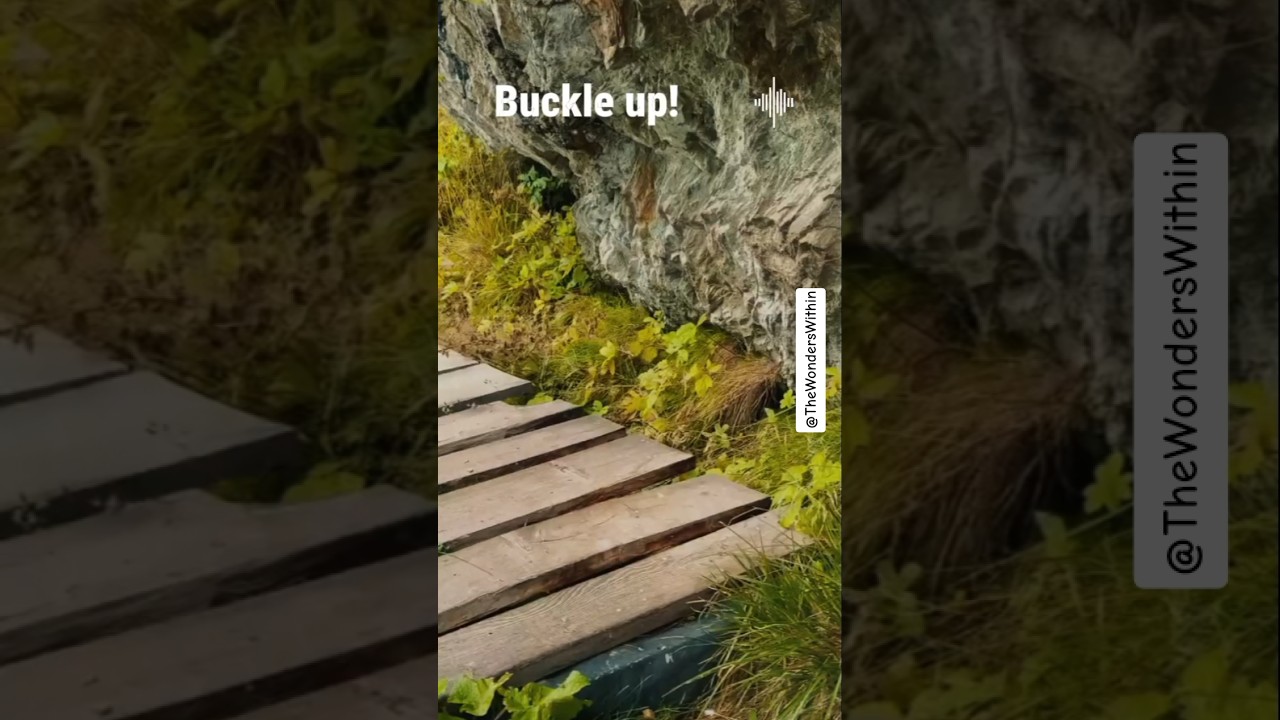 Brutal wake-up call! 🤙🏾💪🏾 