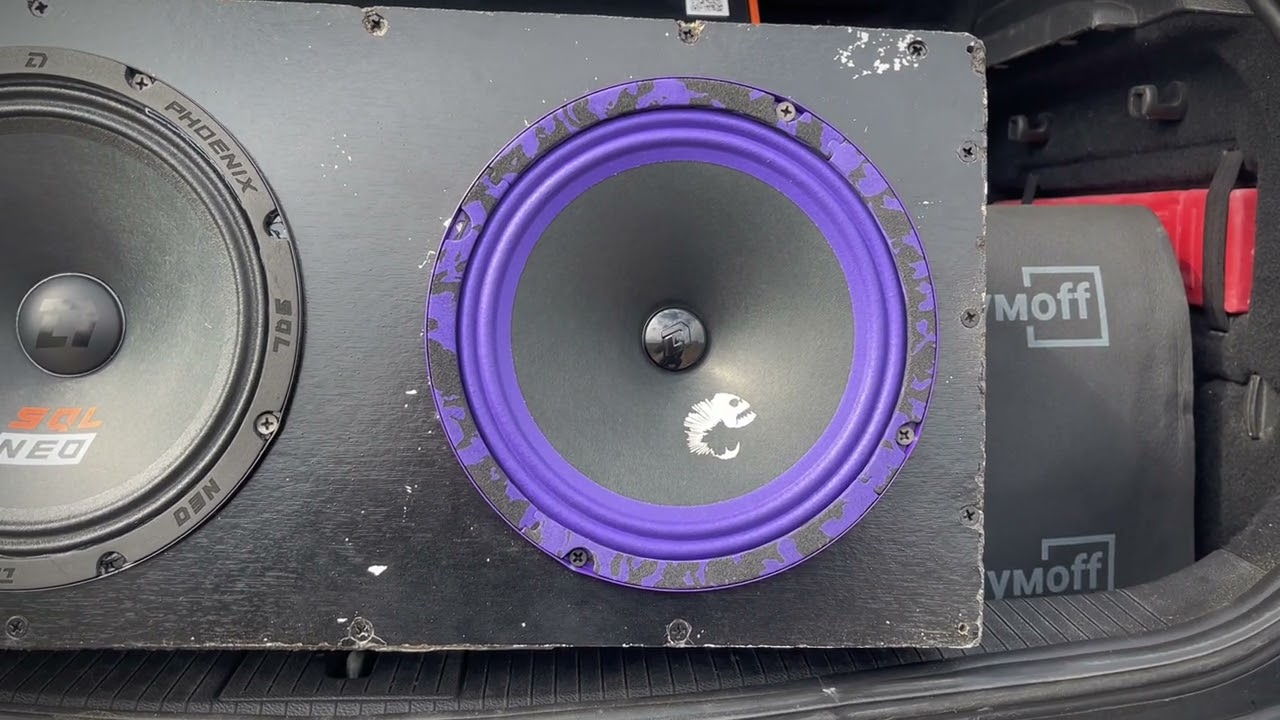 Обзор прослушивание динамиков Dl Audio Piranha 200 v 2