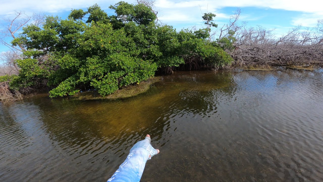 Ultimate Florida Keys Honey Hole - Redfish, Snook, Tarpon.