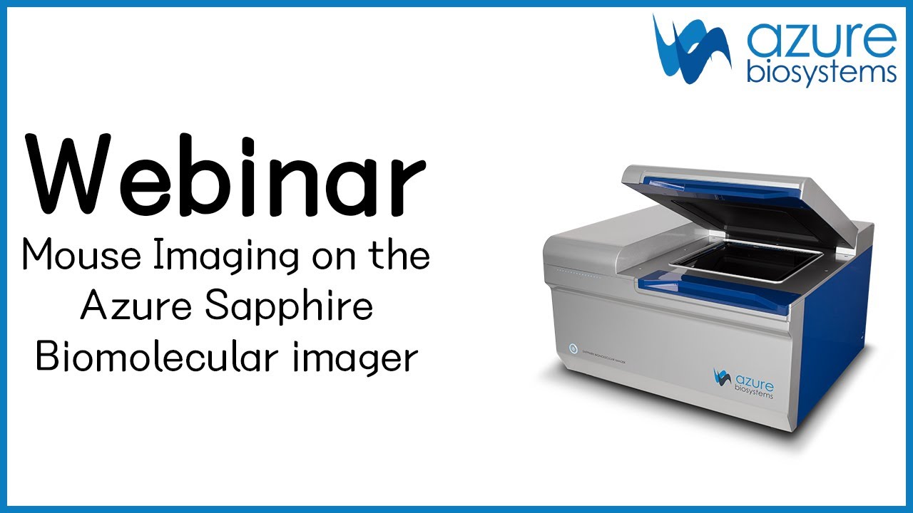 Webinar Sapphire Mouse Imaging 2020 Video 3.0