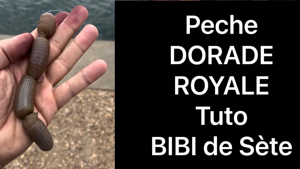 Peche dorade royale Le montage chapelet avec 3 hameçons bibi de Sète peche du bord surfcasting