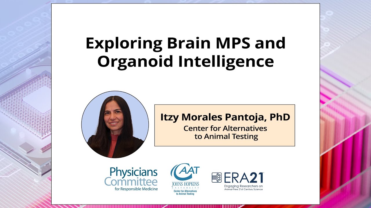 Animal-Free Series for Early-Career Researchers Workshop #3: Exploring Brain MPS and OI