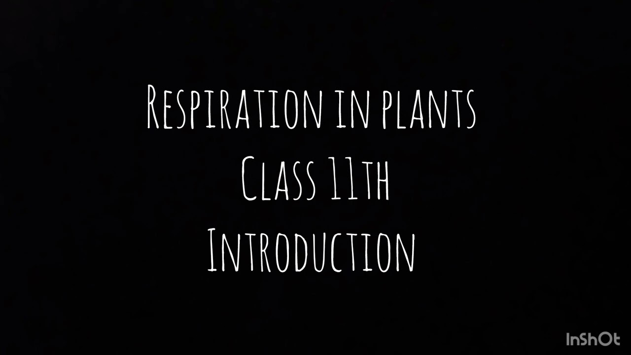 Class 11th biology respiration in plants Audio of ncert  for neet. Introduction 