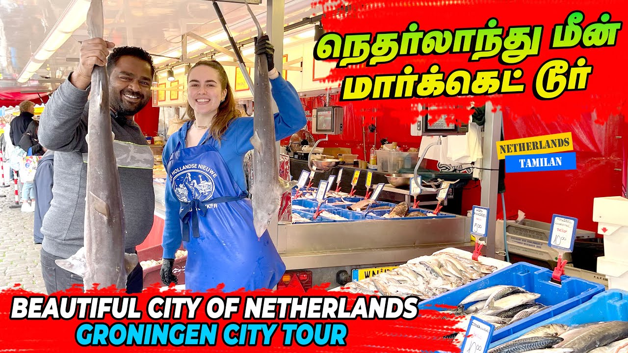 நெதர்லாந்து மீன் மார்க்கெட் டூர் / Groningen city tour #Netherlands tamilan