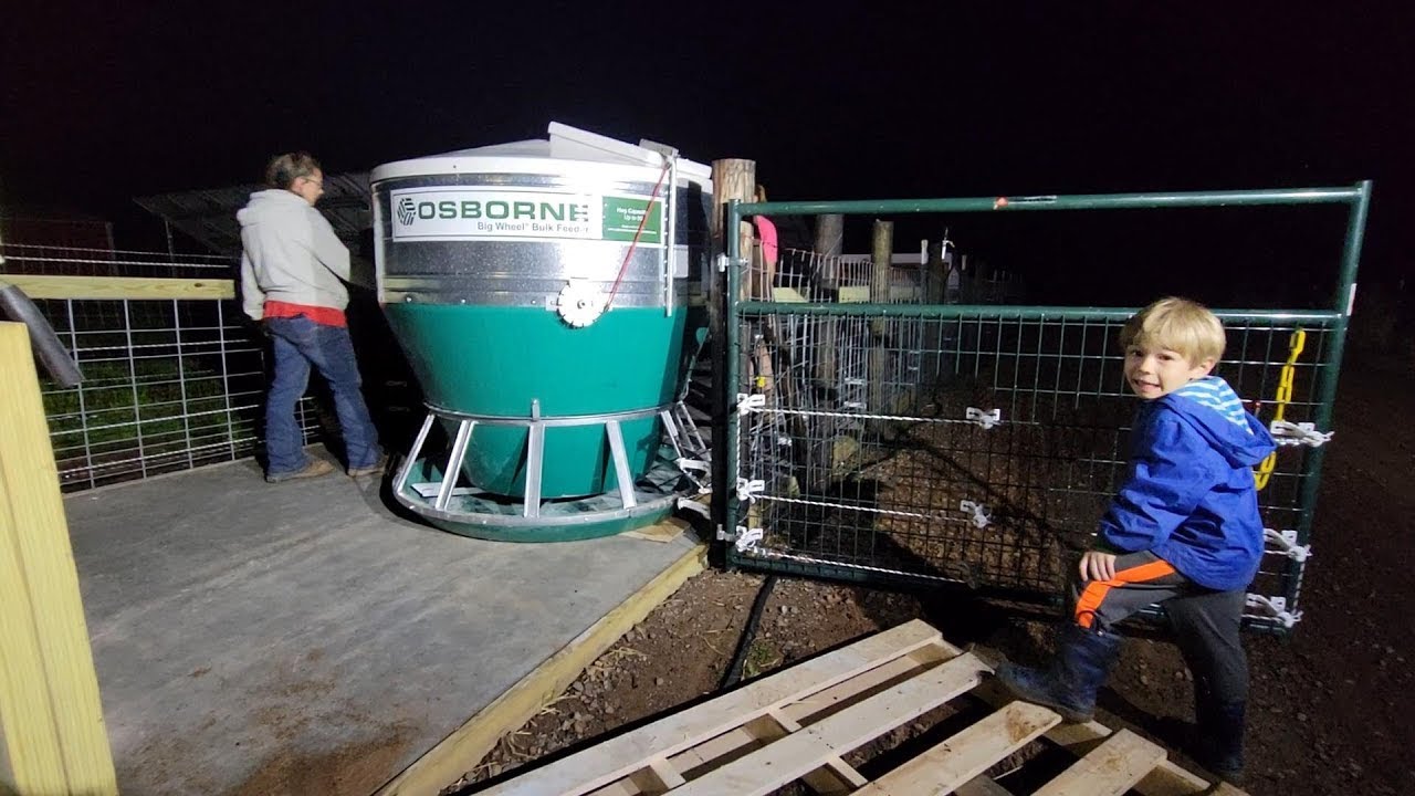 Best Hog Pig Swine Feeder We Found on the Farm