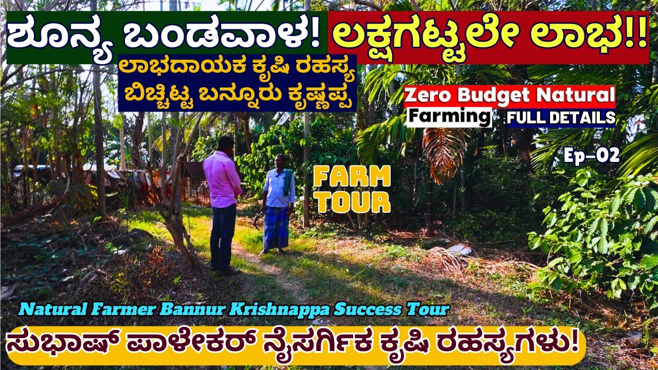 FARM TOUR-'ಕಡಿಮೆ ಶ್ರಮ, ಸೊನ್ನೆ ಖರ್ಚು, ಲಕ್ಷಗಟ್ಟಲೇ ಲಾಭ! ಏನಿದು ನೈಸರ್ಗಿಕ ಕೃಷಿ ರಹಸ್ಯ!-E2-Bannur Krishnappa