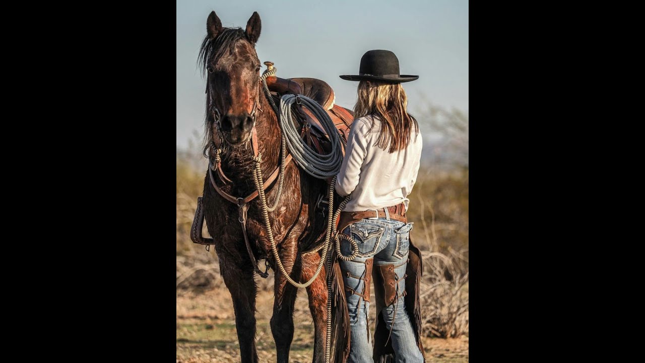 Wild West Dreams