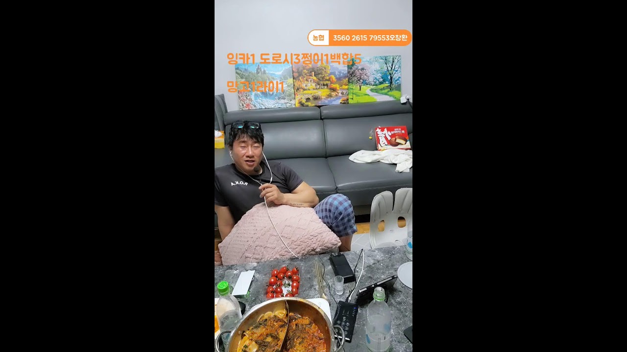 돌싱부부 라이브 방송