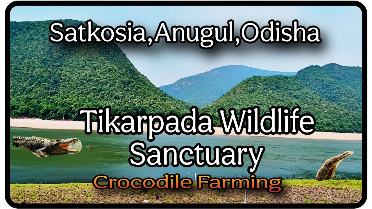 Tikarpada Wildlife Sanctuary Of Satkosia Tiger Reserve, Anugul, Odisha@GUDDYSAMFAMILYVLOG