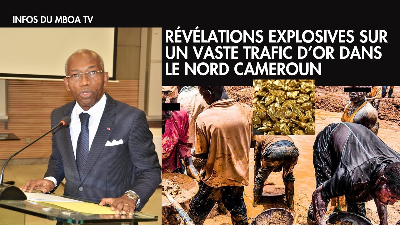 RÉVÉLATIONS EXPLOSIVES SUR UN VASTE TRAFIC D’OR DANS LE NORD CAMEROUN