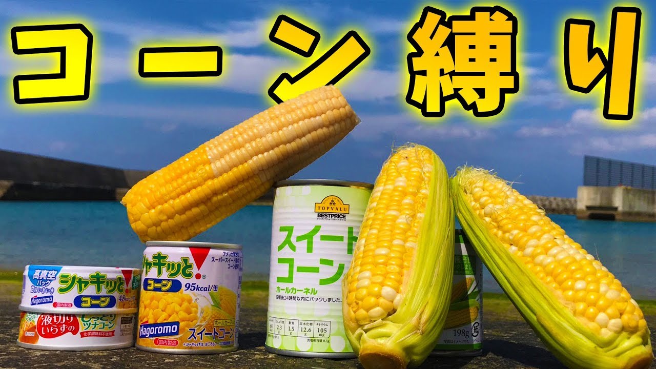 餌をコーン縛りで釣りしたら何が釣れる？