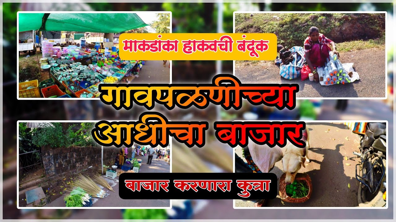 आचरा गावपळणीच्या अगोदरचा बाजार | खूप गर्दी | बाजार करणारा कुत्रा #bazar #achara #villagelife