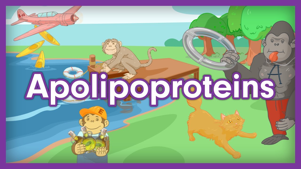 Apolipoproteins | USMLE Step 1 Biochem Mnemonics