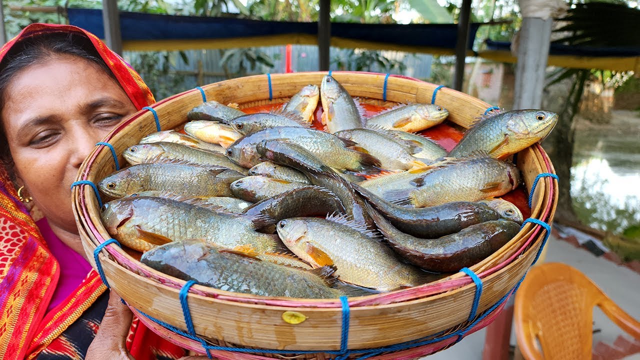 Climbing Perch Fish With Banana Stem Curry Koi Mach Diye Kandal Recipe Deshi Koi Ranna VILLAGE FOOD