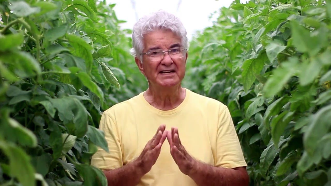 Entrevista com Professor Marco Alvarenga - Especialista em Tomaticultura - Tropical Estufas
