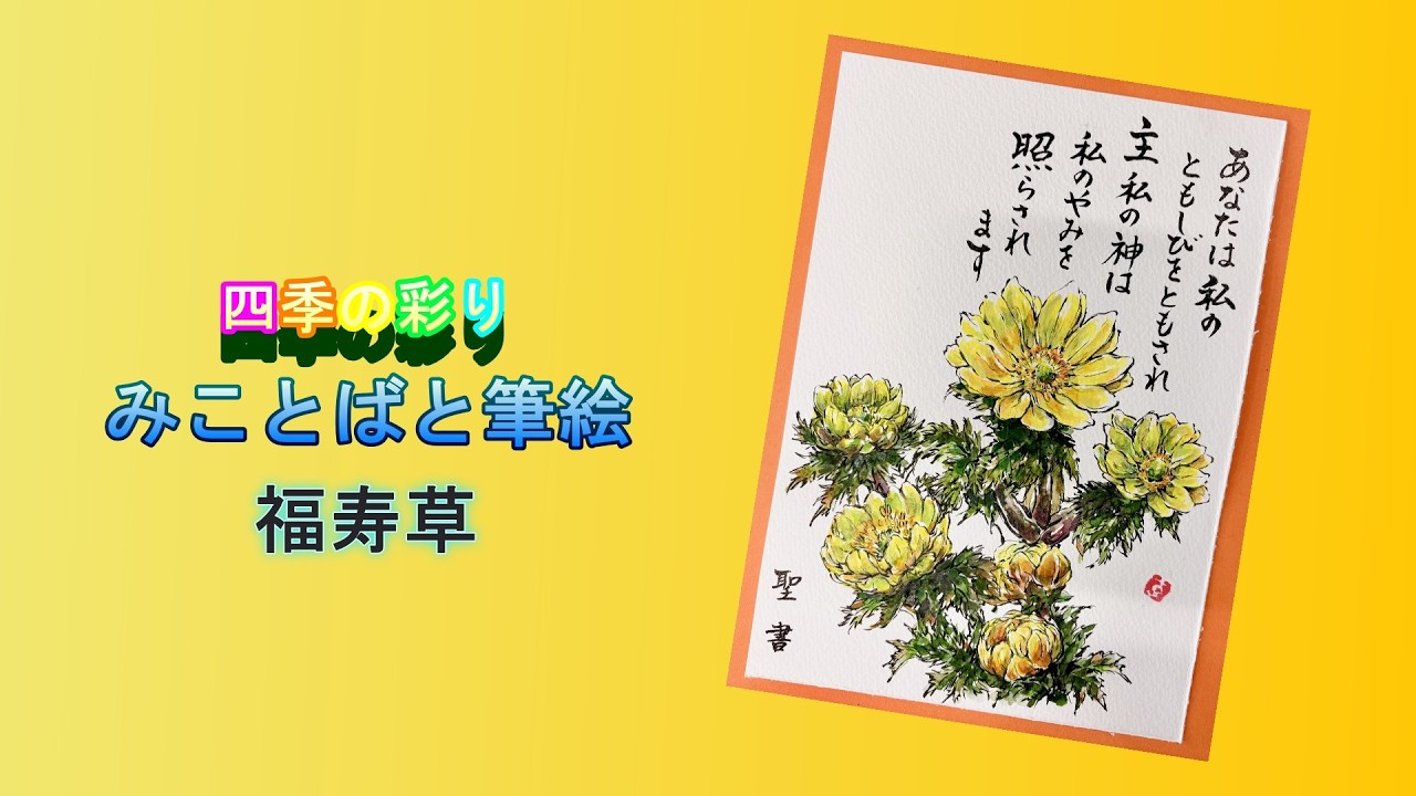 四季の彩り みことばと筆絵 福寿草