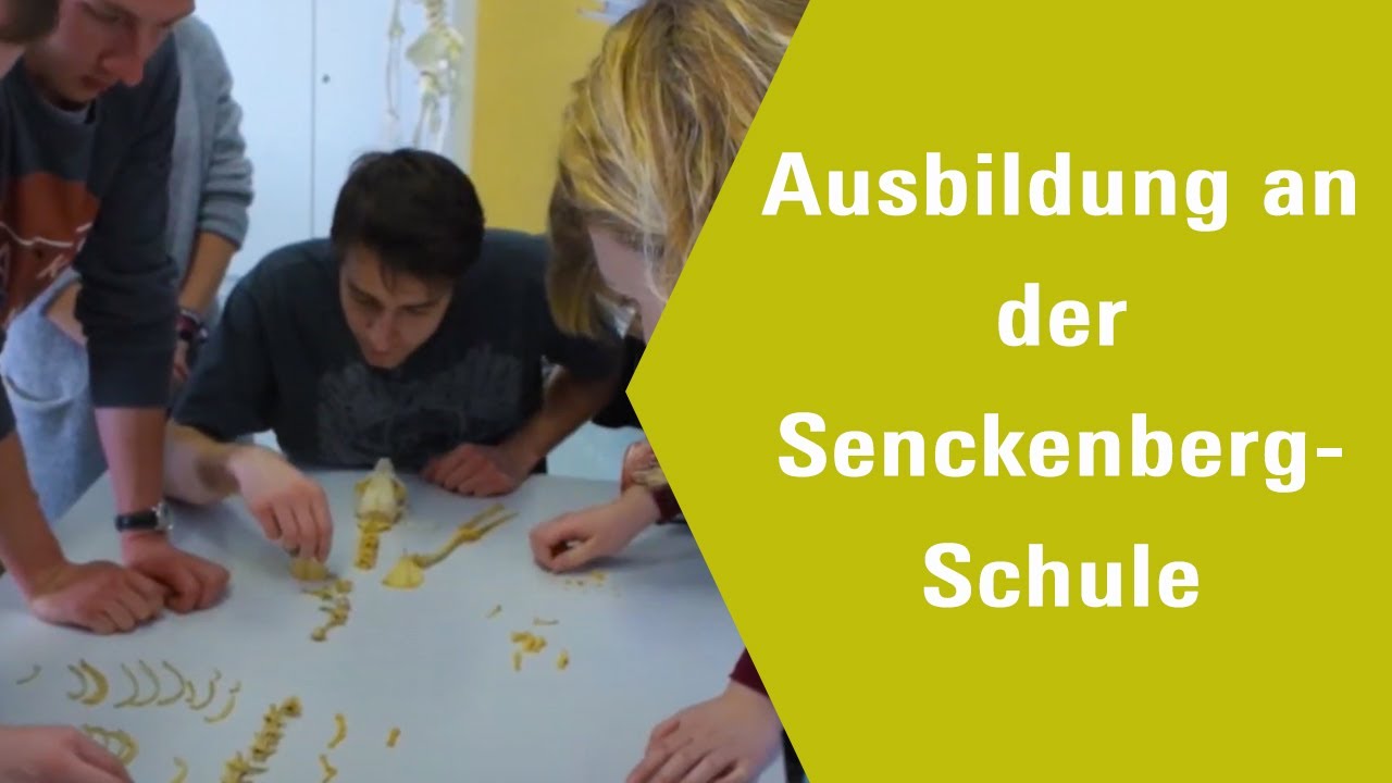 Ausbildung an der Senckenberg-Schule