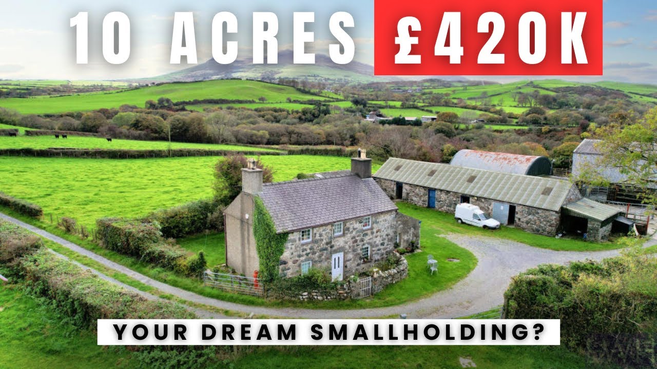 What £420K Buys You in North Wales | 10 Acre Smallholding Property Tour