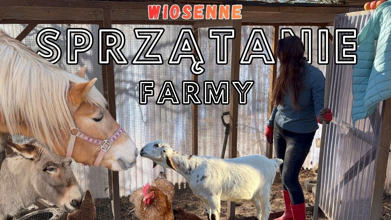 CZAS NA WIELKIE SPRZĄTANIE! | STAJNIA, KOZIARNIA, WOLIERA