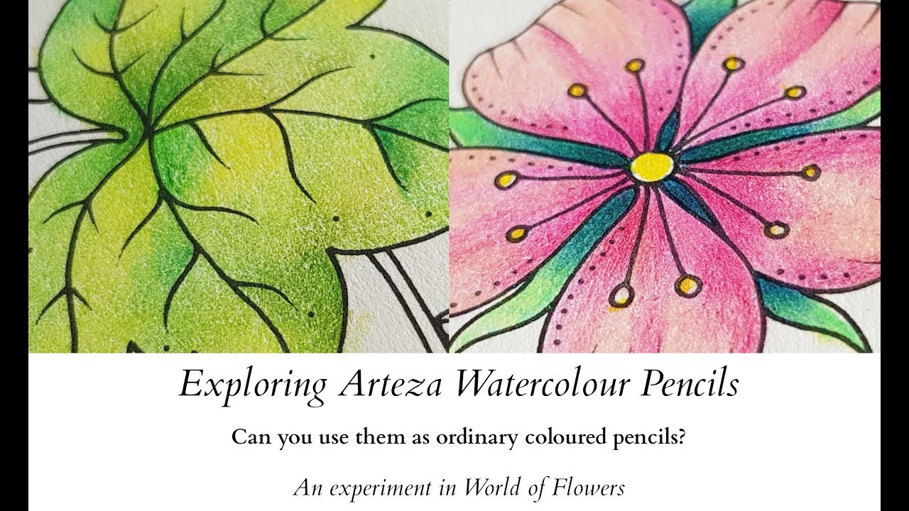 Arteza Watercolour Pencils in World of Flowers
