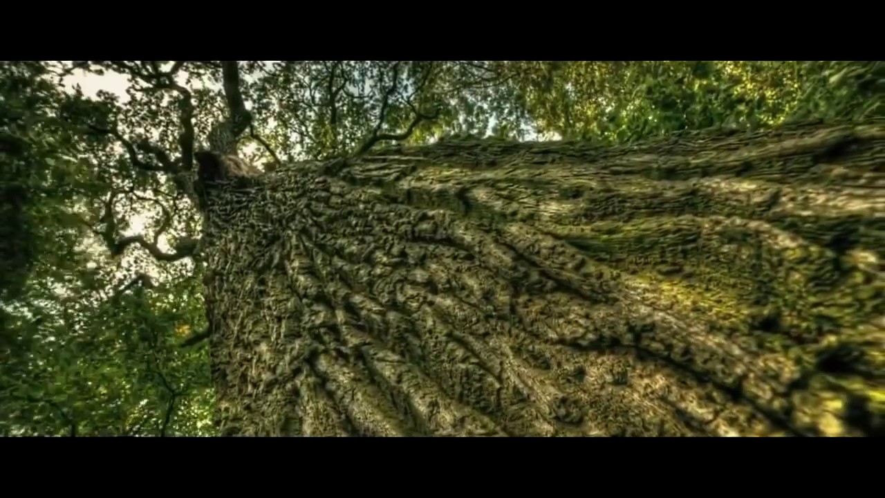 ★ The Beauty of Dubstep   Liquid Dubstep & Chillstep Mix   HD Time Lapse