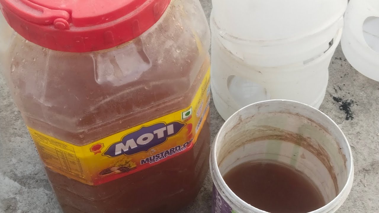 Kabutar ko sardi mein sehatmand rakhne ka nuskha 200% top class result