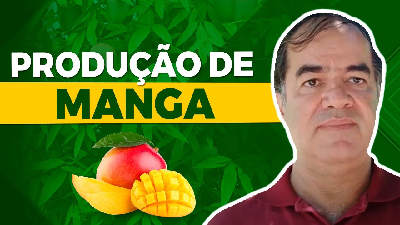 Como Produzir Manga com Qualidade: Cuidados Essenciais no Cultivo &ndash; com Vander Mendon&ccedil;a