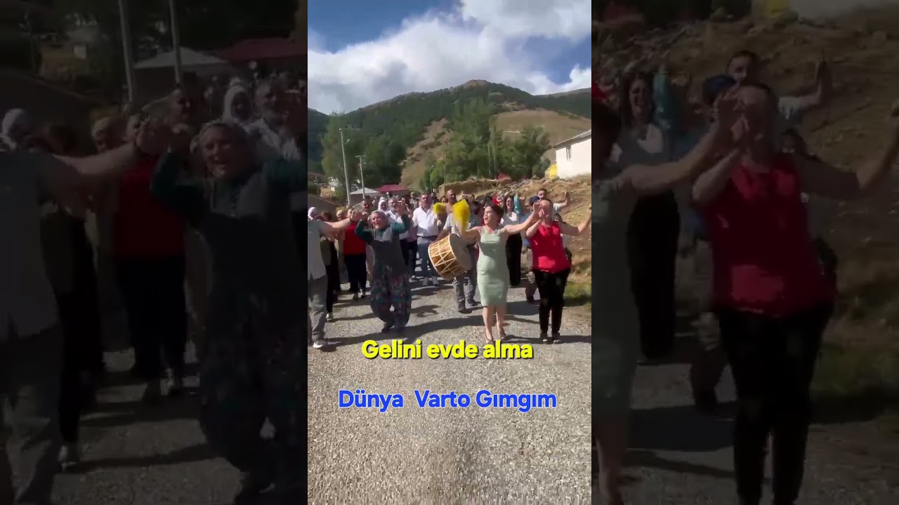 Gelini evde alma / Y&ouml;re Varto /DVG / VTS